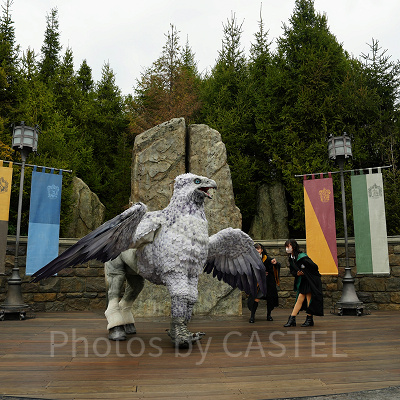 ヒッポグリフ・マジカル・レッスン