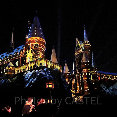 ホグワーツ・マジカルナイト・ウィンターマジック