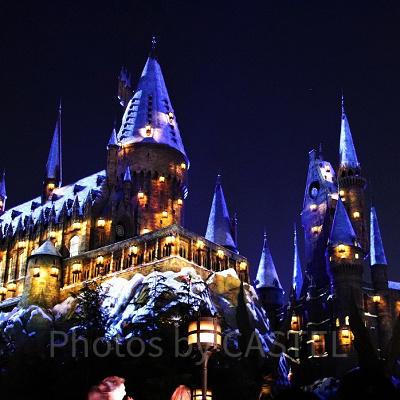 ホグワーツ・マジカルナイト・ウィンターマジック