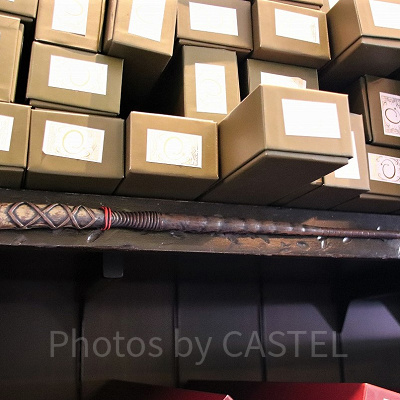 ヒイラギ（7/8～8/4）