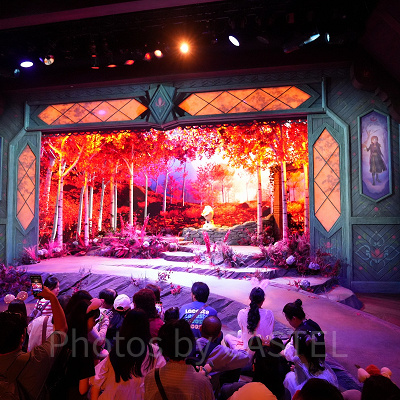 香港ディズニーのアナ雪エリア「ワールドオブフローズン」：プレイハウス・イン・ザ・ウッズ