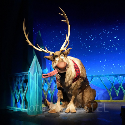 香港ディズニー：フローズンエバーアフターの待ち時間