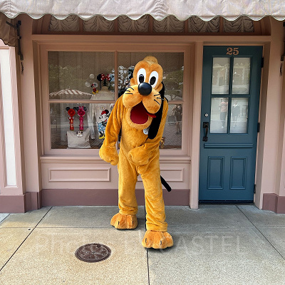 香港ディズニーのグリーティング:タウンスクエア付近のプルート