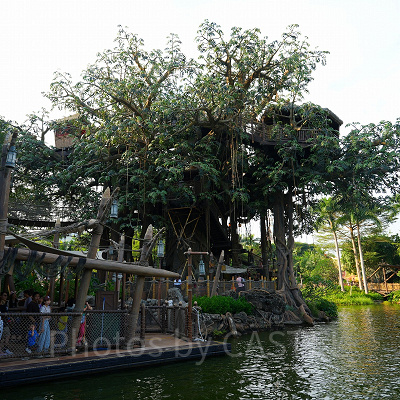 香港ディズニーチケット：公式アプリでチケット購入