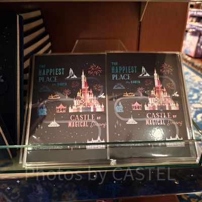 香港ディズニー20周年・スカイライングッズ：ポストカード