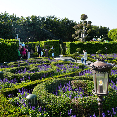 香港ディズニーランドのアトラクション：フェアリーテイル・フォレスト