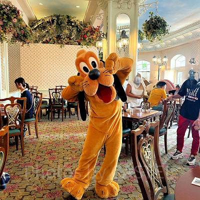 香港エンチャンテッドガーデンレストラン：グリーティング形式