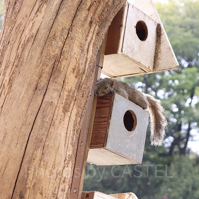 【時間】営業時間、休園日