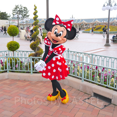 どうすればディズニーでミニーに会える？
