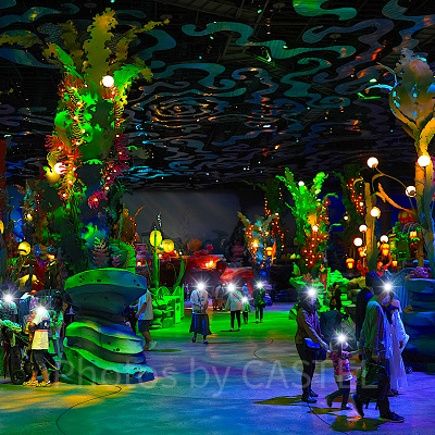 ジャンピン・ジェリーフィッシュの混雑状況は？