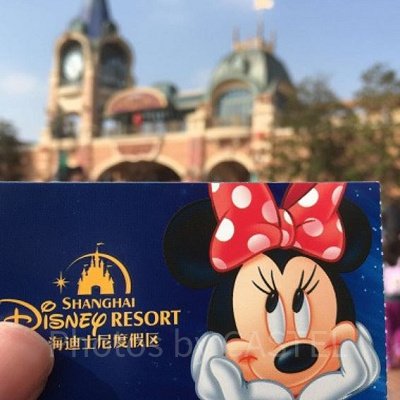 日本のディズニーは世界と比べてどう？