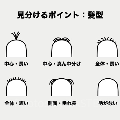 ミニオンの見分け方③:髪型