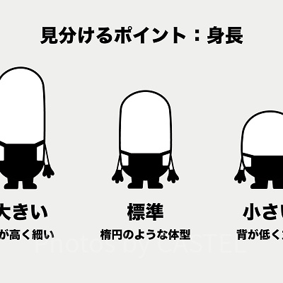 ミニオンの見分け方①:身長