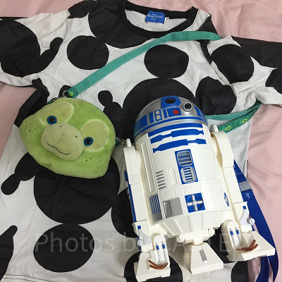 お家でディズニー気分に浸る方法