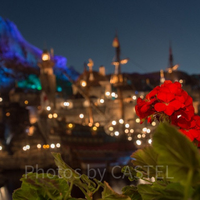 ディズニーでの夜の過ごし方③：ディナーで特別な時間を♡