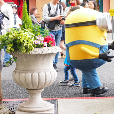 いかがでしたか？