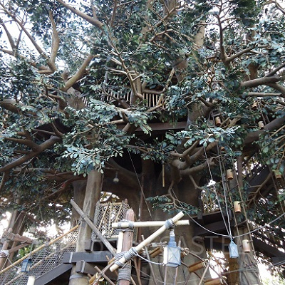 巨大なウォークスルー型アトラクション