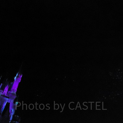 ディズニーランドから帰りたくないけれど…