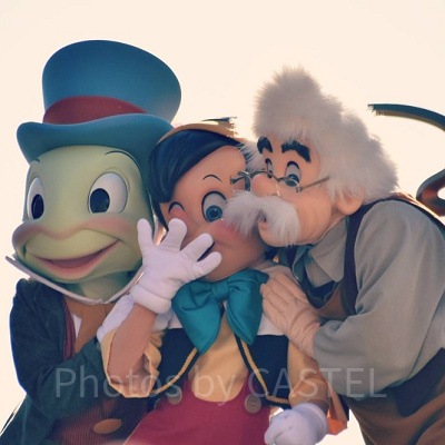 ショー大好き！パレード大好き！そんな方に◎