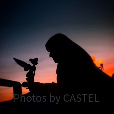 夕日を使ってシルエットを撮りました。ディズニーランドへ向かう最中の陸橋で撮りました。