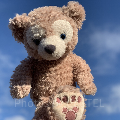 お得に泊まれる日に行きたい♪