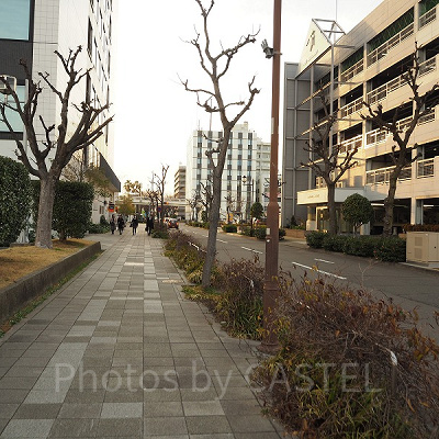 ガーデンふ頭前の道路を進むとコンビニがある所に行けます