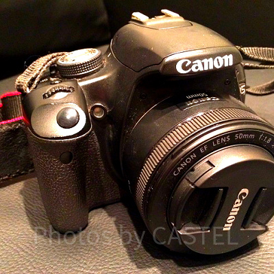 ディズニーシーに行くならカメラは必需品ですよね！