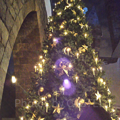 パーク内イルミネーション