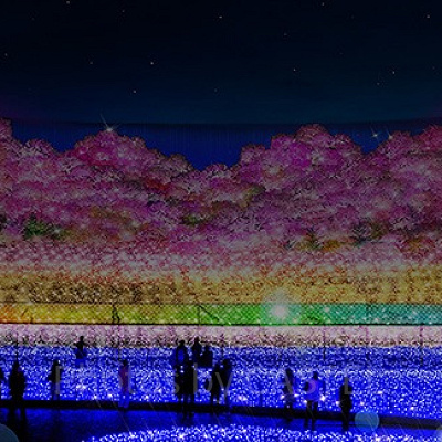 過去のイルミネーション