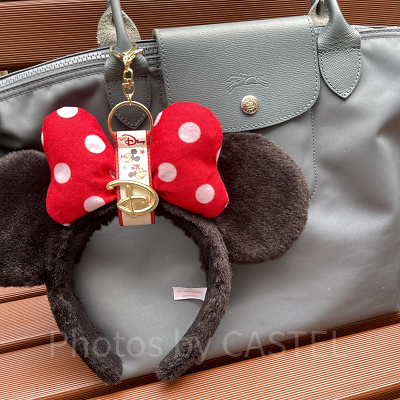 キャステル様提供画像