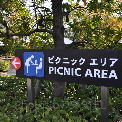 ピクニックエリアへの案内板