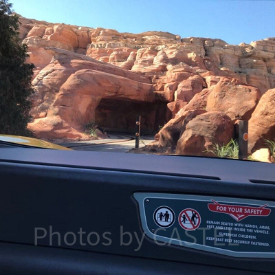 ラジエーター・スプリングス・レーサー乗車中の様子