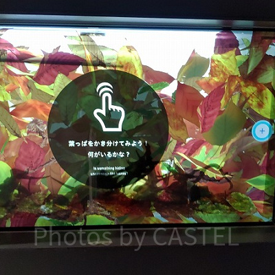 マジカルグラウンド内の「インタライブエリア」