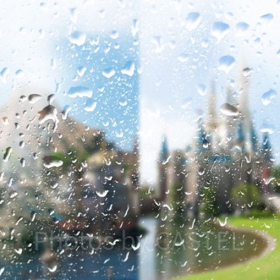 平日や悪天候日は当たりやすい？