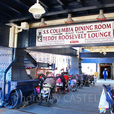 ディズニーにベビーカーの持ち込みはOK？