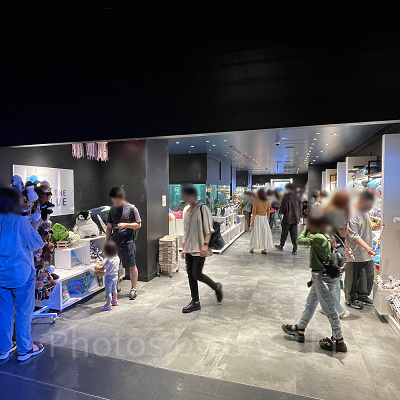 アクアパークのお土産屋を通るとすぐ出口になります