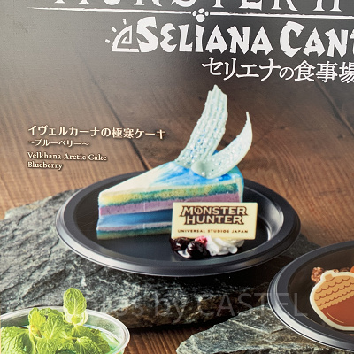 イヴェルカーナの極寒ケーキ ～ブルーベリー～