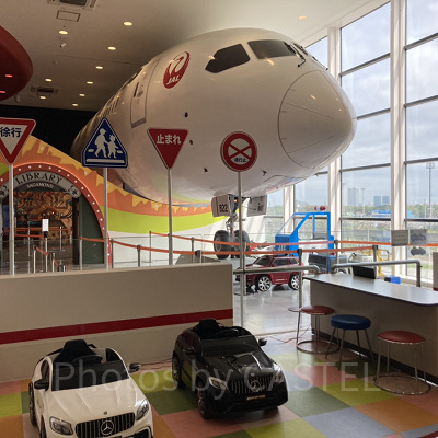 JALのアクティビティ