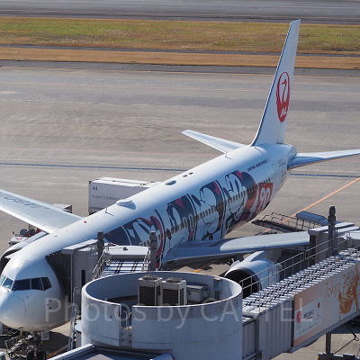 JALのディズニーチケット