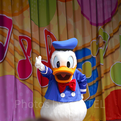 ジャンボリミッキー！レッツ・ダンス！のドナルド