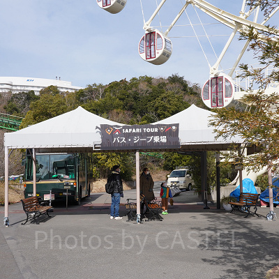 ジープサファリ