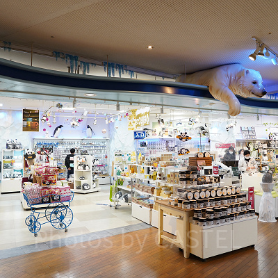 ジョイランド店内