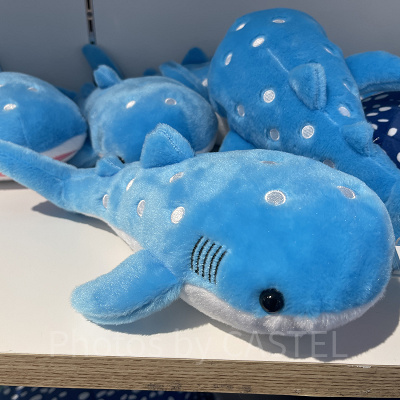 海遊館/ジンベエザメぬいぐるみ