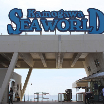 鴨川シーワールド