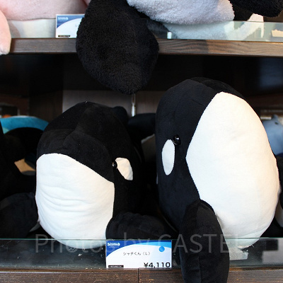 鴨川シーワールドのシャチのぬいぐるみ