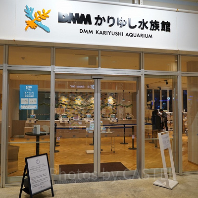 かりゆし水族館入口