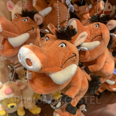 キング・オブ・プライド・ロック（King Of Pride Rock）