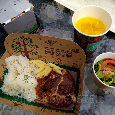 神戸どうぶつ王国のランチメニュー