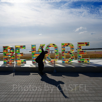 神戸須磨シーワールドの割引チケット:神戸街めぐり1dayクーポン