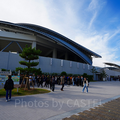 神戸須磨シーワールドの割引チケット：KOBEこども割クーポン